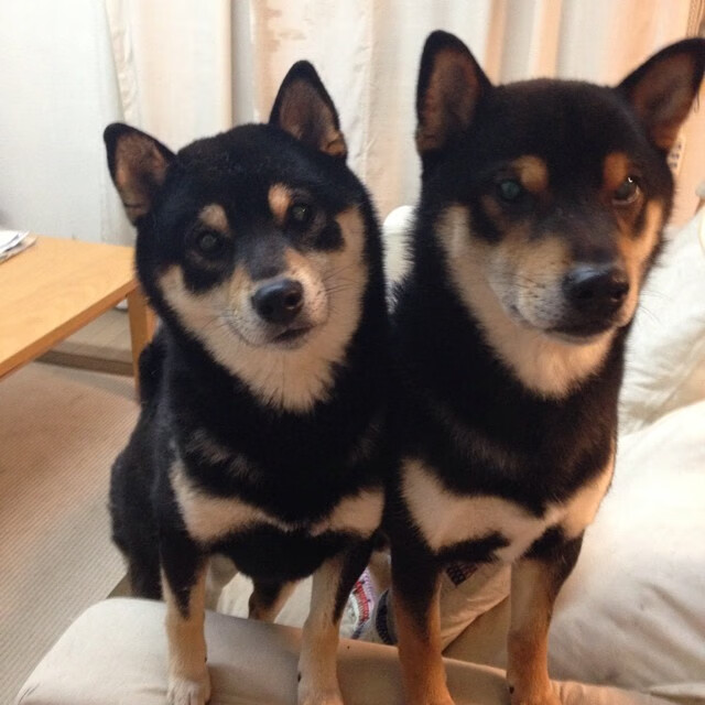 全国青少年篮球“梦想之路”公益行深入边远山区，青少年篮球大赛