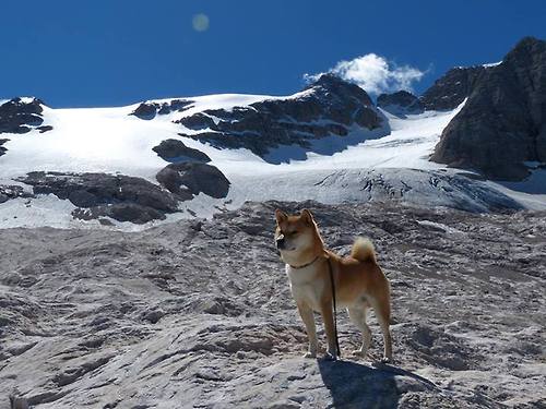 多特蒙德新阵迎战强敌，期待佳绩，多特蒙德最新