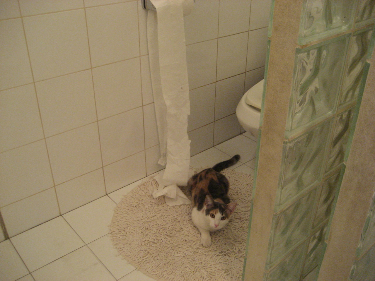 守望先锋 战队新星崭露头角，守望先锋最新阵容