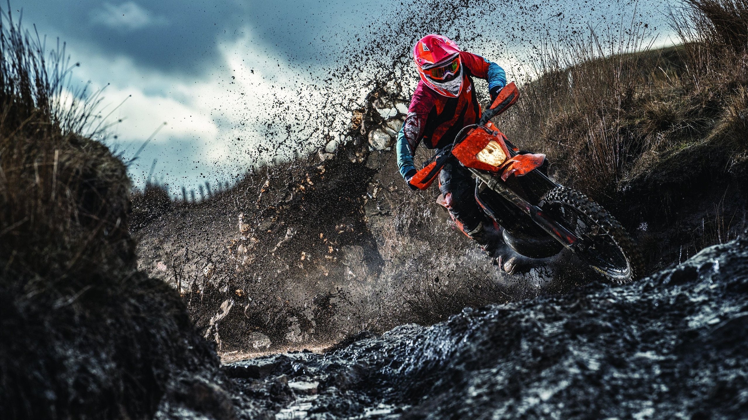 “诺克·达维德·彼得森带领南非羚羊队锁定世界冠军”